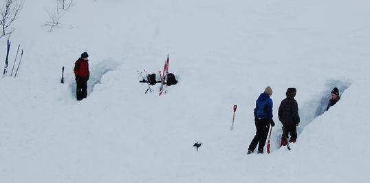 DSC_0037 DSC_0037