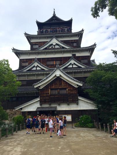 image11 image11