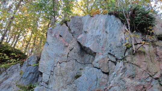 IMG_0488 IMG_0488