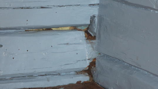 IMG_0557 IMG_0557