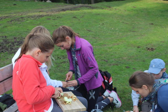 IMG_5029 IMG_5029