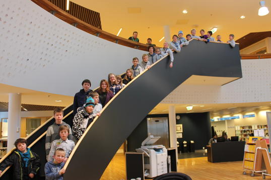 IMG_5546 IMG_5546