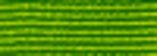 lederstripe_enhetsleder_50x18 lederstripe_enhetsleder_50x18
