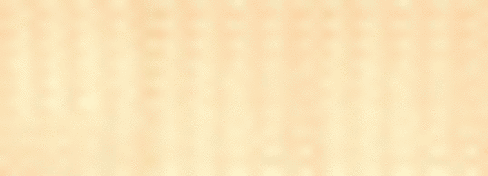 lederstripe_gruppeassistent_50x18 lederstripe_gruppeassistent_50x18