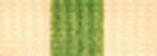 lederstripe_gruppeleder_50x18 lederstripe_gruppeleder_50x18