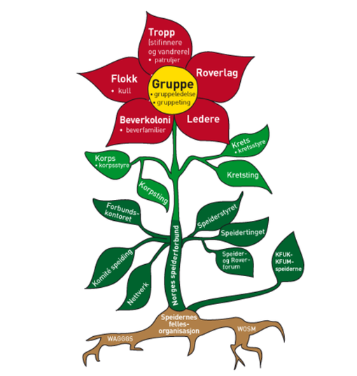 Organisasjonsblomsten Organisasjonsblomsten
