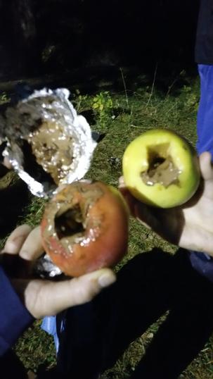 speidermøte speidermøte